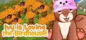 squirrel_sapling_feature13