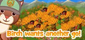 squirrel_sapling_feature14