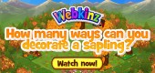 squirrel_sapling_video_feature squirrel_sapling_video_feature
