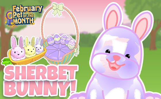 Sherbet bunny store