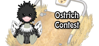 ostrich contest