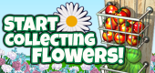 Flower Collection FEATURE 2