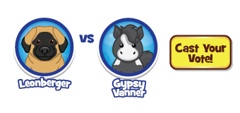 Lil_Webkinz_Round_6