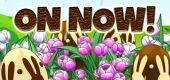 Spring FEATURE ON NOW Spring FEATURE ON NOW