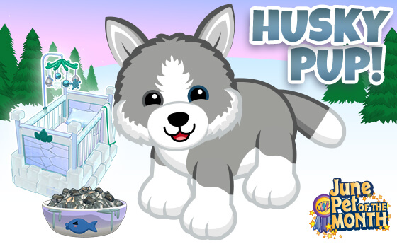 Webkinz husky hot sale pup