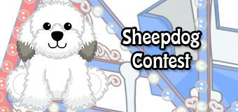 sheepdog contest - feature