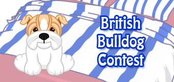 british bulldog contest