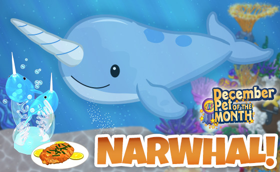 Webkinz narwhal sale