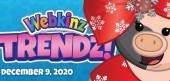 Webkinz_Trendz_dec912