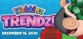 aa_Webkinz_Trendz_dec1622