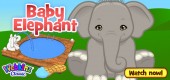 baby_elephant_video