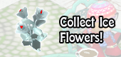 ice flower feature