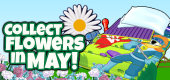 Flower Collection FEATURE 1