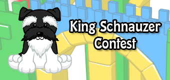 king schnauzer contest