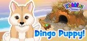 `Dingo_puppy_feature