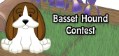 basset hound contest