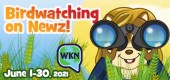 sophie_Lil_birds_WKN_feature sophie_Lil_birds_WKN_feature
