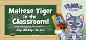 maltese_tiger_classroom_feature maltese_tiger_classroom_feature