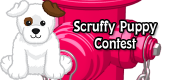 scruffypuppy-contest