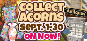 Acorns FEATURE ON NOW