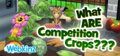 competition_crop_Feature
