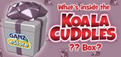 `koala_cuddles_box_feature