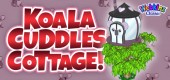 `koala_cuddles_COTTAGE_feature