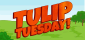 `Tulip-Tuesday-2022-feature