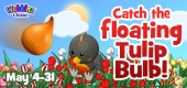 tulip_bulb_feature
