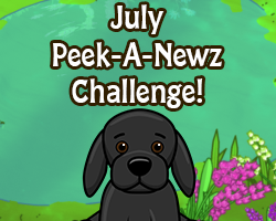 Webkinz Golden Winged Tiger Virtual PET Adoption Code Only Messaged Webkinz Gold 