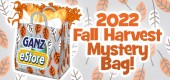 `2022_fall_Harvest_mystery_bag_feature