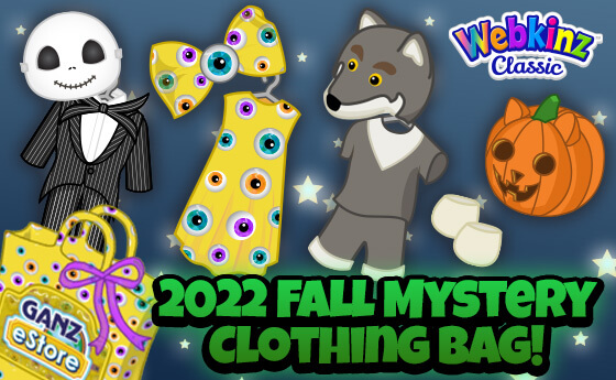 webkinz mystery clothing