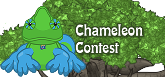 chameleon-contest-feature