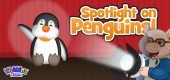 feature_penguin_Spotlight