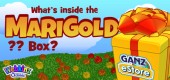 marigold_box_feature