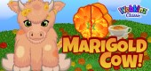 marigold_cow_feature