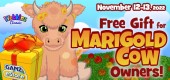 marigold_cow_free_gift_feature