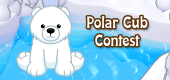 polar cub contest