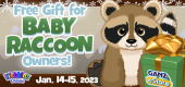 baby_raccoon_gift_feature