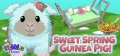`feat-SWEET_SPRING_GUINEA_PIG_feature