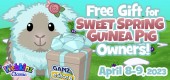 SWEET_SPRING_GUINEA_PIG_gift_feature