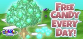 Spring_gumball_tree_feature