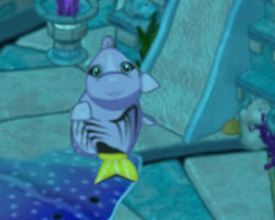 Angel Fish