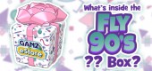 `FEATURE-fly90sbox_feature