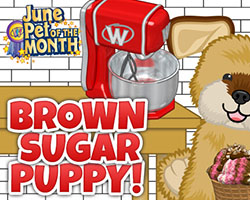 Webkinz brown store sugar puppy