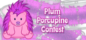 plum porcupine contest feature