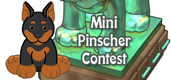 mini pinscher contest