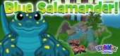 blue_salamander_feature
