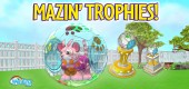 mazin run trophy feature 2