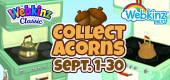 Acorn Collecton 2023 FEATURE Next & Classic copy